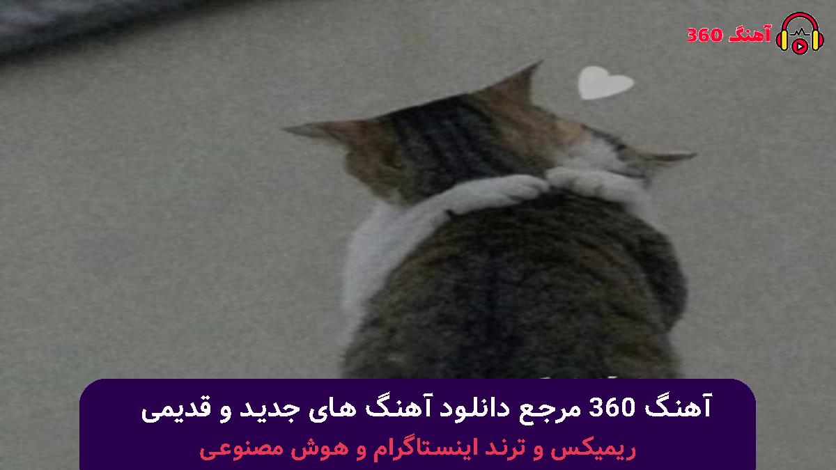 کاور آهنگ بغلم کن جوری انگار دیگه فردایی نداریم با صدای محسن چاوشی و رضا صادقی